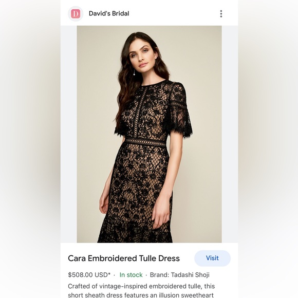 Tadashi Shoji Dresses & Skirts - TADASHI SHOJI cara embroidered tulle dress lace dress perfect dry cleaned